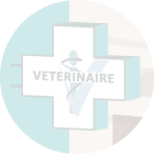 Identité visuelle de la clinique